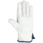 Guante todo flor GTF 332 RG (6 pares)